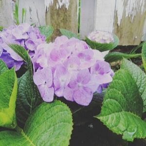 Meet your Posher, Kathryn